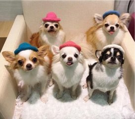 imToken钱包苹果版
